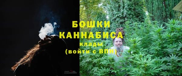гашик Арсеньев