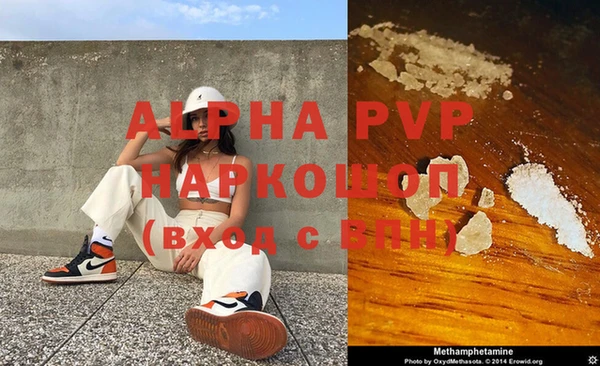 гашик Арсеньев